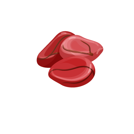 kola nut
